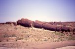 PICTURES/Petrified Forest National Park/t_Petrified Forest4.jpg